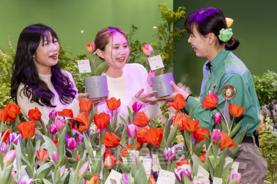 <사진제공=에버랜드>